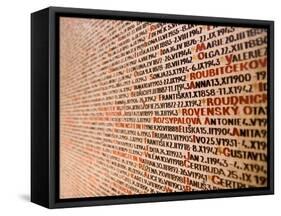 Holocaust-Bruno Abarco-Framed Stretched Canvas
