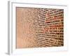 Holocaust-Bruno Abarco-Framed Photographic Print