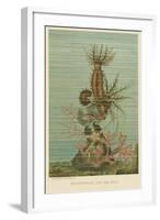 Holothurians and Sea Star-null-Framed Art Print