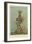 Holothurians and Sea Star-null-Framed Art Print