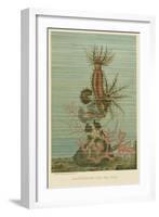 Holothurians and Sea Star-null-Framed Art Print