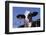 Holstein Calf with Eartag-DLILLC-Framed Premium Photographic Print