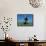 Holstein Cow and Calf, IL-Lynn M^ Stone-Framed Stretched Canvas displayed on a wall