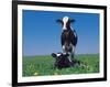 Holstein Cow and Calf, IL-Lynn M^ Stone-Framed Photographic Print