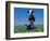 Holstein Cow and Calf, IL-Lynn M^ Stone-Framed Photographic Print