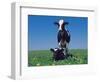 Holstein Cow and Calf, IL-Lynn M^ Stone-Framed Photographic Print