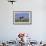Holstein Cow from Ground Level in Dandelion-Studded Pasture, Spring, Marengo, Illinois, USA-Lynn M^ Stone-Framed Photographic Print displayed on a wall