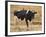 Holstein Cow Full of Milk-DLILLC-Framed Photographic Print