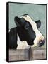 Holstein Cow I-Jade Reynolds-Framed Stretched Canvas