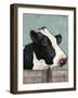 Holstein Cow I-Jade Reynolds-Framed Art Print