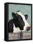 Holstein Cow I-Jade Reynolds-Framed Stretched Canvas