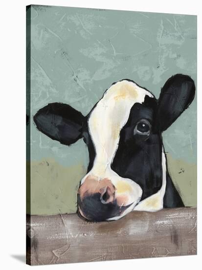 Holstein Cow II-Jade Reynolds-Stretched Canvas