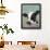 Holstein Cow II-Jade Reynolds-Framed Art Print displayed on a wall