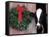 Holstein Cow in Barn with Christmas Wreath, WI-Lynn M^ Stone-Framed Stretched Canvas