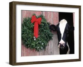 Holstein Cow in Barn with Christmas Wreath, WI-Lynn M^ Stone-Framed Premium Photographic Print