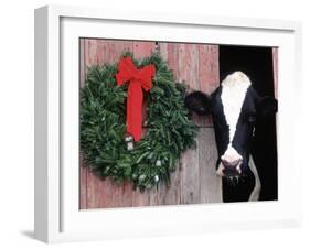 Holstein Cow in Barn with Christmas Wreath, WI-Lynn M^ Stone-Framed Premium Photographic Print