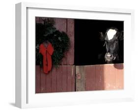 Holstein Cow in Barn with Christmas Wreath, WI-Lynn M^ Stone-Framed Premium Photographic Print