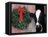 Holstein Cow in Barn with Christmas Wreath, WI-Lynn M^ Stone-Framed Stretched Canvas