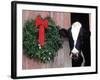 Holstein Cow in Barn with Christmas Wreath, WI-Lynn M^ Stone-Framed Photographic Print