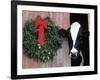 Holstein Cow in Barn with Christmas Wreath, WI-Lynn M^ Stone-Framed Photographic Print