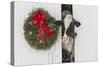 Holstein Cow in Snowstorm by Green Wreath and Red Ribbon, St. Charles, Illinois, USA-Lynn M^ Stone-Stretched Canvas