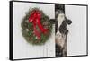 Holstein Cow in Snowstorm by Green Wreath and Red Ribbon, St. Charles, Illinois, USA-Lynn M^ Stone-Framed Stretched Canvas