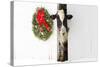 Holstein Cow in Snowstorm by Green Wreath and Red Ribbon, St. Charles, Illinois, USA-Lynn M^ Stone-Stretched Canvas