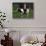 Holstein Cow on a Farm, Belleville, WI-Lynn M^ Stone-Stretched Canvas displayed on a wall