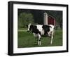 Holstein Cow on a Farm, Belleville, WI-Lynn M^ Stone-Framed Premium Photographic Print