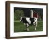 Holstein Cow on a Farm, Belleville, WI-Lynn M^ Stone-Framed Photographic Print