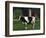 Holstein Cow on a Farm, Belleville, WI-Lynn M^ Stone-Framed Photographic Print