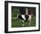 Holstein Cow on a Farm, Belleville, WI-Lynn M^ Stone-Framed Photographic Print