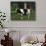 Holstein Cow on a Farm, Belleville, WI-Lynn M^ Stone-Photographic Print displayed on a wall