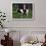 Holstein Cow on a Farm, Belleville, WI-Lynn M^ Stone-Framed Photographic Print displayed on a wall