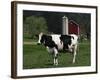 Holstein Cow on a Farm, Belleville, WI-Lynn M^ Stone-Framed Photographic Print