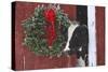 Holstein Cow Portrait with Wreath in Falling Snow, Marengo, Illinois-Lynn M^ Stone-Stretched Canvas