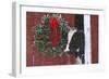 Holstein Cow Portrait with Wreath in Falling Snow, Marengo, Illinois-Lynn M^ Stone-Framed Photographic Print