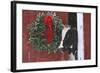 Holstein Cow Portrait with Wreath in Falling Snow, Marengo, Illinois-Lynn M^ Stone-Framed Photographic Print