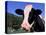 Holstein Cow Sticking its Tongue Out-Lynn M^ Stone-Stretched Canvas