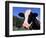 Holstein Cow Sticking its Tongue Out-Lynn M^ Stone-Framed Photographic Print