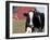 Holstein Cow with Tongue in Nose-Lynn M^ Stone-Framed Photographic Print