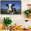 Holstein Cow-DLILLC-Framed Stretched Canvas displayed on a wall