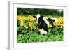 Holstein Cow-null-Framed Photographic Print