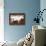 Holstein Cow-null-Stretched Canvas displayed on a wall