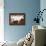 Holstein Cow-null-Mounted Giclee Print displayed on a wall
