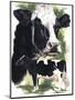 Holstein Cow-Barbara Keith-Mounted Giclee Print