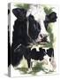 Holstein Cow-Barbara Keith-Stretched Canvas