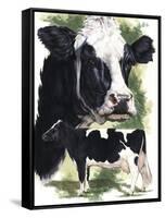 Holstein Cow-Barbara Keith-Framed Stretched Canvas