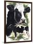 Holstein Cow-Barbara Keith-Framed Giclee Print