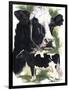 Holstein Cow-Barbara Keith-Framed Giclee Print